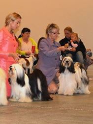 Wilma 2015 DKK INT Herning